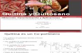 Quitina y Quitosano