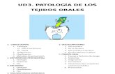 UD4. Patologia dental