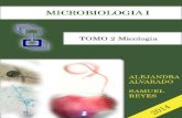 Unidad de Micologia Completa Alejandra Alvarado-Samuel Reyes