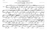 Fchopin Nocturnes Op.48 Bh4