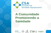 A Comunidade Promovendo a Sanidade. 2 Histórico dos CSA (Paraná) 1999 – Criados 164 CSA intermunicipais Fundamentados nas ULSAV Médicos Veterinários (DEFIS)