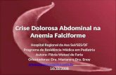 Crise Dolorosa Abdominal na Anemia Falciforme Hospital Regional da Asa Sul/SES/DF Programa de Residência Médica em Pediatria Autora: Flávia Watusi de Faria.