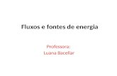 Fluxos e fontes de energia Professora: Luana Bacellar.