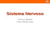 Sistema Nervoso Tronco e Medula Profa. Mirelle Saes.