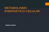 METABOLISMO ENERGÉTICO CELULAR Warley Ferreira. Anabolismo x Catabolismo.