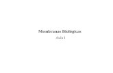 Membranas Biológicas Aula I. As Membranas Biológicas características gerais : As membranas biológicas basicamente definem compartimentos Determinam.