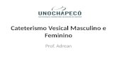 Cateterismo Vesical Masculino e Feminino Prof. Adrean.