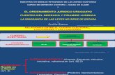 Ordenamiento  legal de uruguay.pdf