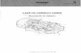 Caja GR900 “SCANIA”.pdf