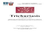 Trichuriasis y sus complicaciones clínicas.