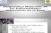 Diagnóstico Molecular de Las Enfermedades Infecciosas en El Perú