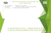 Proteccion y Encauzamiento en Rios - Copia
