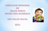 Salud Bucal 2011