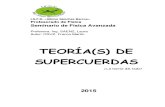 Teoría(s) de Supercuerdas - La teoría del todo.pdf