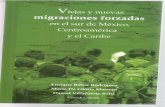2013 Alfaro Capitulo Libro de Migrantes Forzados a Campesinos