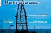 Petroleum 300 Enero 2015