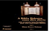 Comentario Biblia Hebraica