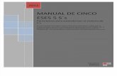 141668335 Manual Para La Implementacion de La Herramienta 5 s