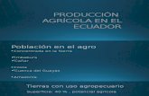 Clase Producción Agrícola