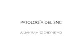Patología Del Snc