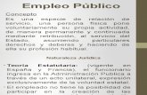 Contrato Empleo Publico