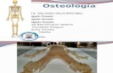 Osteologia-Generalidades-Clasificacion de Los Huesos
