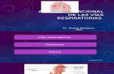 Resumen Anatomofuncional de La via Respiratoria Bien