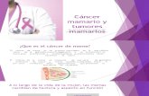 Cáncer mamario y tumores mamarios.odp