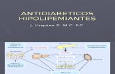 Antidiabeticos e Hipolipemiantes