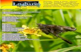 Laguna, Revista Urbana-junio 2016