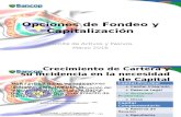 Fuentes de Fondeo y Capitalizacion v5.pptx
