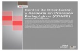 Manual Navegación COAPP