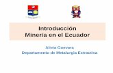 2. Pequeña Minería Ecuador -Oro