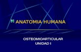 ANATOMIA HUMANA CLASE 1.ppt