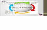 Presentacion - Proceso de Produccion