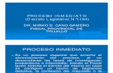 4263 Proceso Inmediat Mirko Cano 2