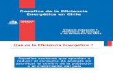 Ee -Gobierno de Chile