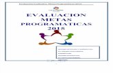 Evaluacion Cualitativa Metas Programaticas 2015