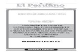 Lineamientos para la ejecución del procedimiento de otorgamiento de tierras eriazas en parcelas de pequeña agricultura regulado por el decreto supremo N° 026-2003- AG