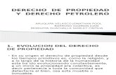 DERECHO  DE  PROPIEDAD  Y  DERECHO  PETROLERO.pptx