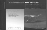 Kaplan Violencias en Plural Cap 1 Violencias en La Escuela Una Reconstruccion Critica Del Concept