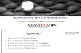 Servicios Profesionales Strategos Consulting Services 2016