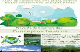 Ecosistemas de la ciudad de Santa Marta