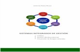 M Los Sistemas Integrados de Gestión - L.pdf