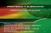 Proteina y Ejercicio
