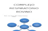 4. Complejo Respiratorio Bovino