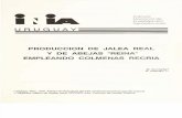 PRODUCCIÓN DE JALEA REAL Y DE ABEJAS "REINA" EMPLEANDO COLMENAS RECRÍA