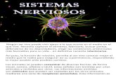Sistemas Nerviosos