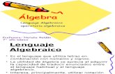 Algebra Septimo Básico Para Clase