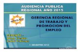 Gerencia Trabajo Audiencia Publica 2015